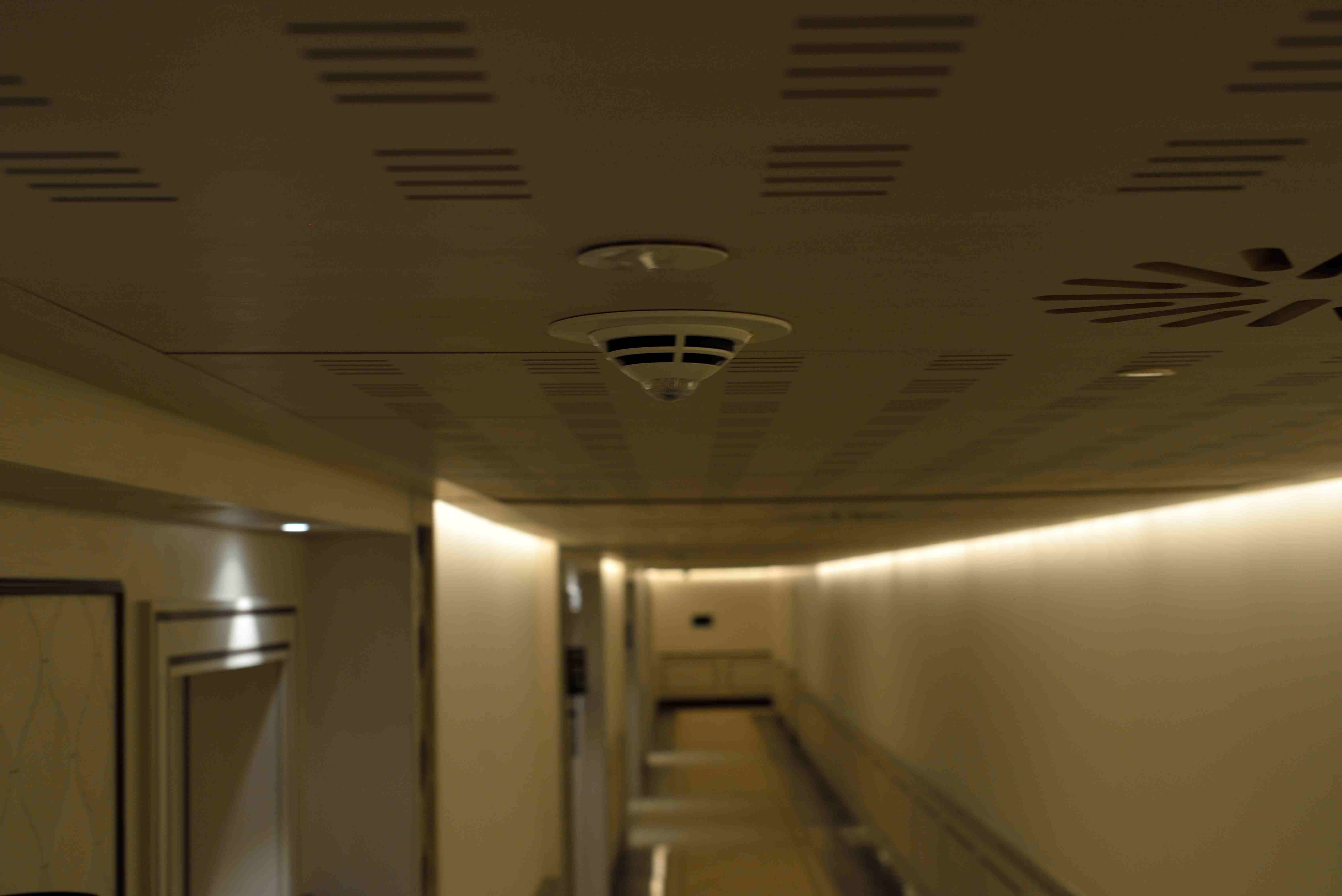 Detector pasillo Detector pasillo
